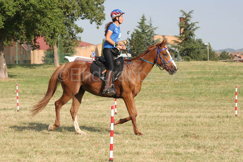 0806GUB_170