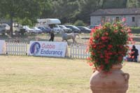 0806GUB_136