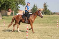 0806GUB_170