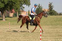 0806GUB_172