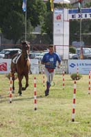0806GUB_180