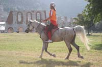 0806GUB_195