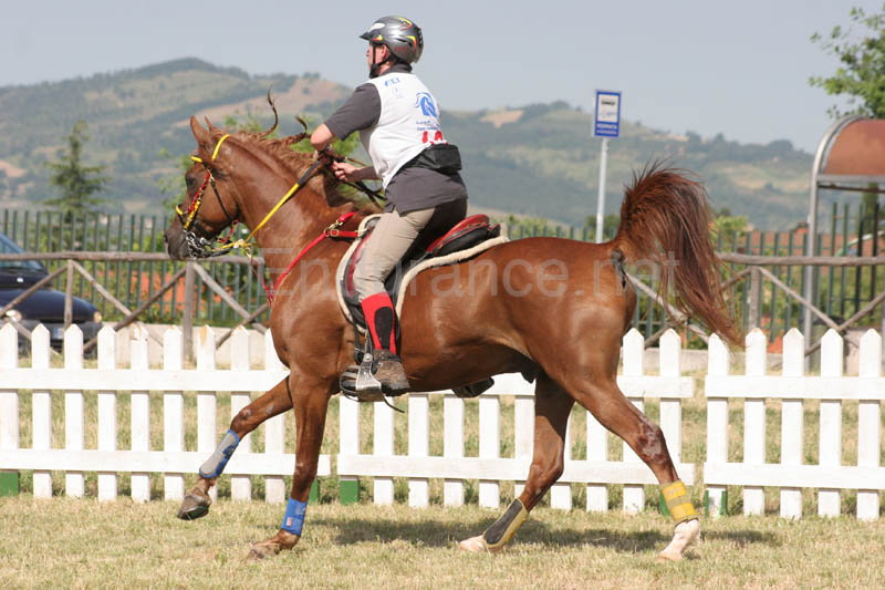 0806GUB_242