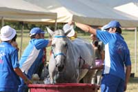 0806GUB_213