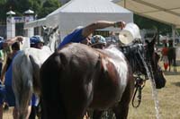 0806GUB_216