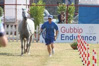 0806GUB_217