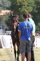 0806GUB_223
