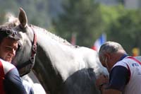 0806GUB_227