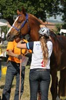 0806GUB_236