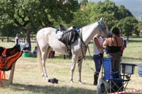 0806GUB_238