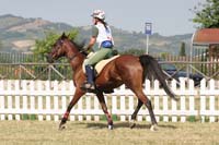 0806GUB_244