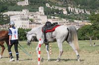 international/Italy/2008Gubbio/gallery/10GNCup/thumbnails/0806GUB_366.jpg