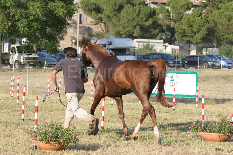 0806GUB_435