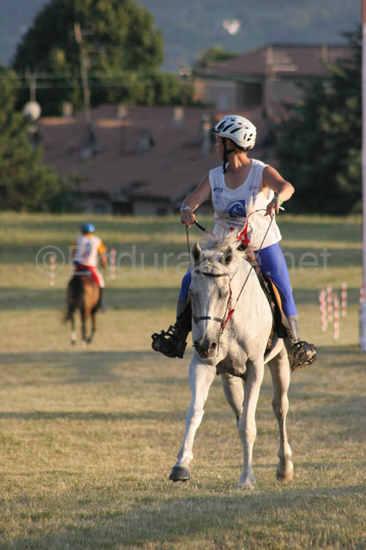 0806GUB_445