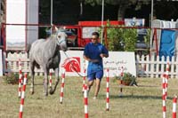 0806GUB_416