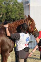 0806GUB_440