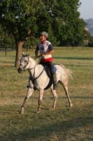 0806GUB_442