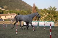 0806GUB_457