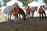 0806GUB_465