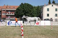 0806GUB_467