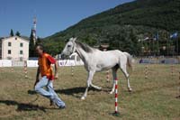 0806GUB_468