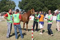 0806GUB_470