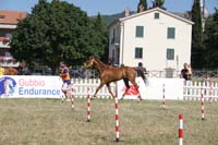 0806GUB_471
