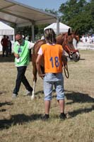 0806GUB_475