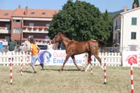0806GUB_476
