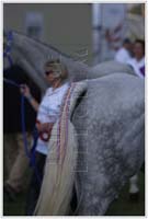 international/Italy/2009Assisi/gallery/02/thumbnails/IMG_3822.jpg