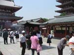 IMG_5272