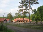 IMG_5582