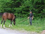 IMG_5656