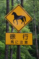 IMG_2521