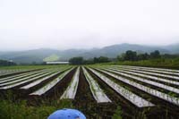 IMG_0866