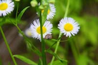 IMG_0876