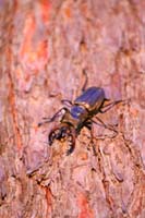 IMG_1296
