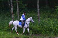 IMG_1346