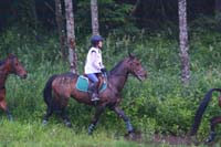 IMG_1349