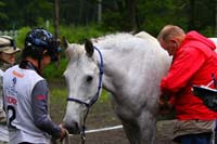 IMG_1381