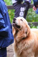IMG_1386