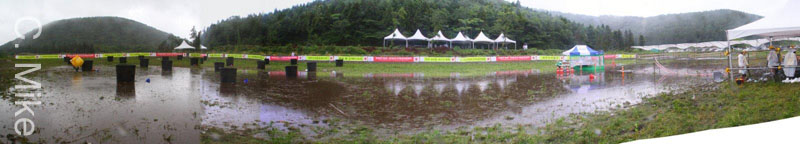 SwampStitch