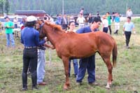 IMG_1988