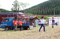IMG_2060