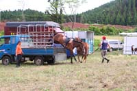 IMG_2068