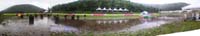 SwampStitch