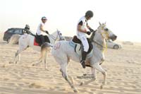 international/Kuwait/2009ShkNasserCup/gallery/Osama/thumbnails/USAM9371.jpg