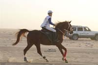 international/Kuwait/2009ShkNasserCup/gallery/Osama/thumbnails/USAM9397.jpg