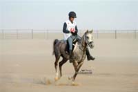 international/Kuwait/2009ShkNasserCup/gallery/Osama/thumbnails/USAM9433.jpg