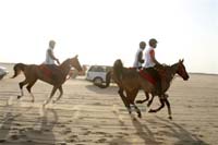 international/Kuwait/2009ShkNasserCup/gallery/Osama/thumbnails/USAM9473.jpg